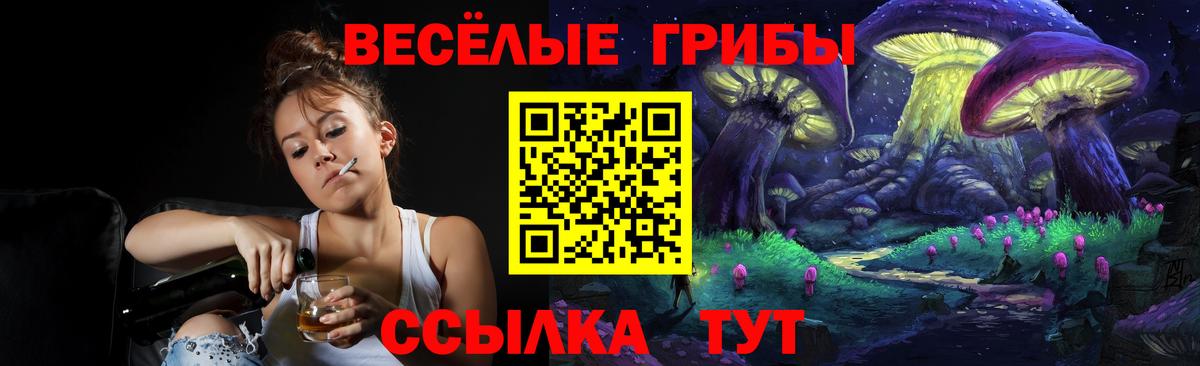Псилоцибиновые грибы ЛСД  Вход с VPN  Братск 